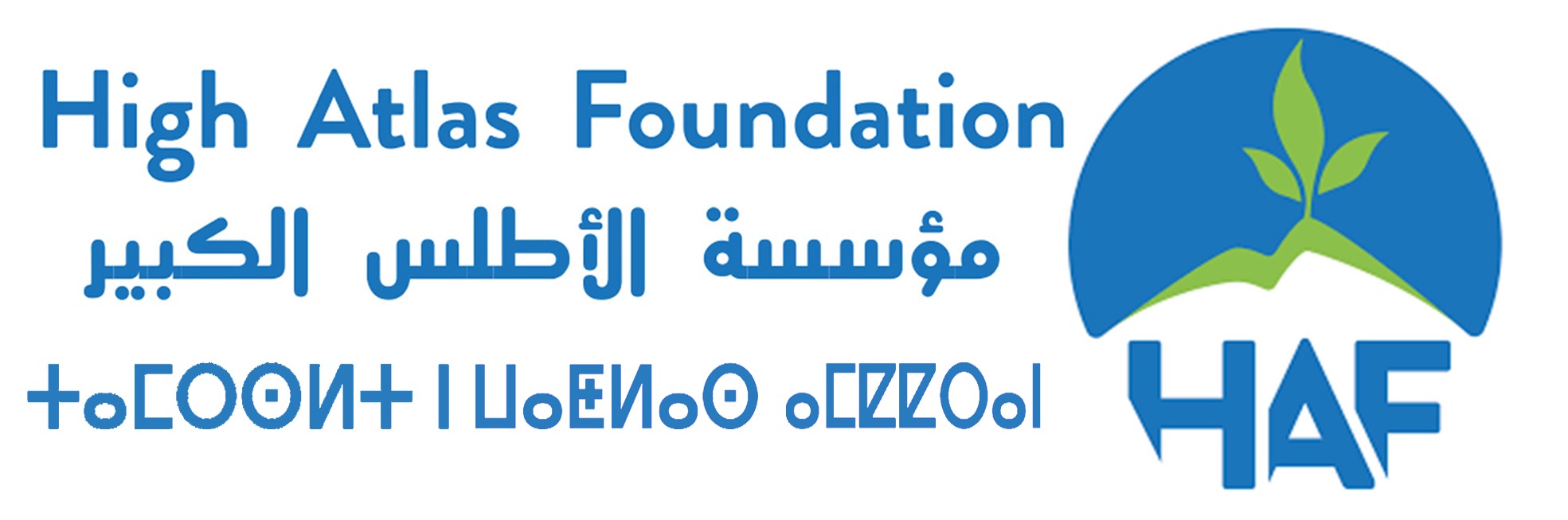 Project Partners Image